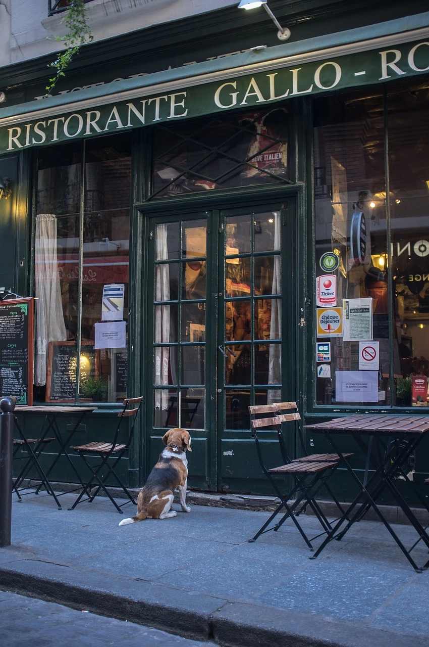 Onde comer em Paris?
