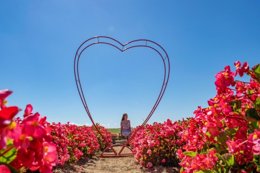 Holambra em 1 Dia: Um Roteiro Mágico pela Cidade das Flores