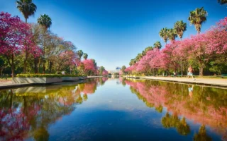 O que fazer em Porto Alegre? Guia Completo 2025 para uma Viagem Inesquecível à Capital dos Gaúchos!